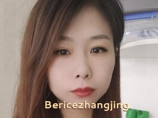 Bericezhangjing