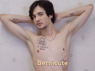 Bernicute