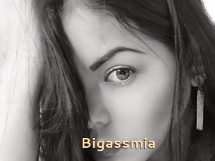 Bigassmia