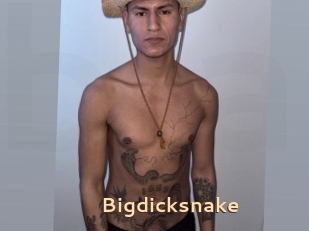 Bigdicksnake