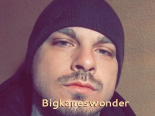 Bigkaneswonder