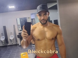 Bleickcobra