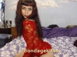 Bondagekitten