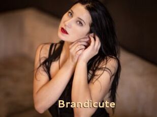 Brandicute