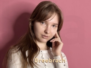 Breebrach