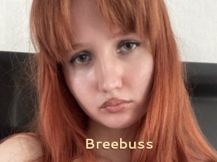 Breebuss