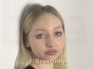 Breefudge