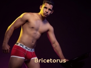 Bricetorus
