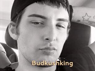 Budkushking