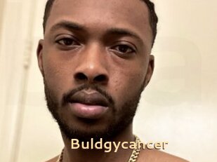 Buldgycancer