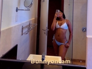 Bunnyoncam