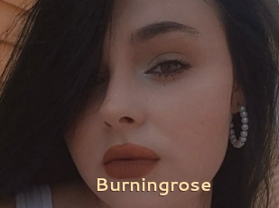 Burningrose