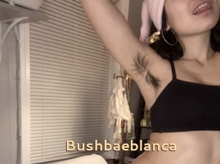 Bushbaeblanca