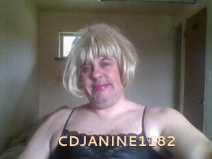 CDJANINE1182