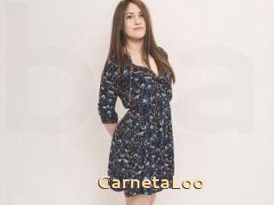 CarnetaLoo