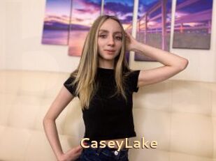 CaseyLake