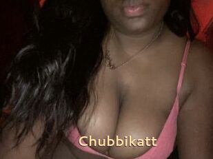 Chubbikatt