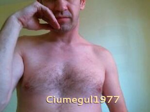Ciumegul1977
