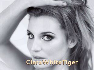 ClaraWhiteTiger