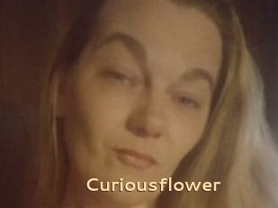 Curiousflower