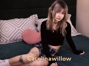 Carolinawillow