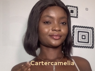 Cartercamelia