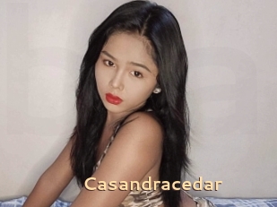 Casandracedar