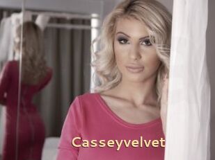 Casseyvelvet