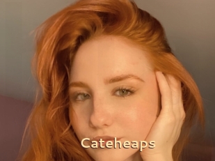 Cateheaps