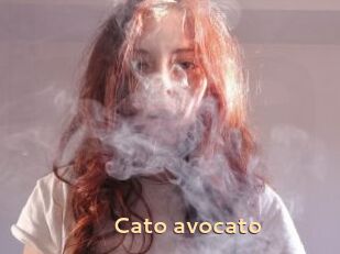 Cato_avocato