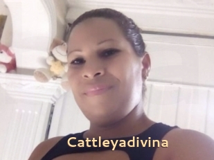Cattleyadivina