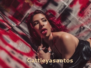 Cattleyasantos