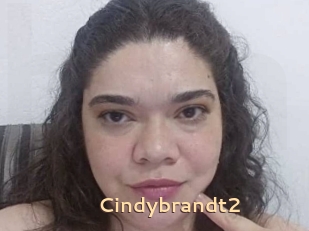 Cindybrandt2