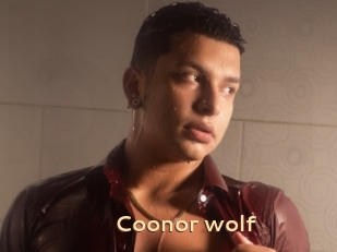 Coonor_wolf