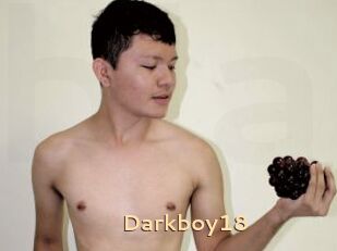 Darkboy18