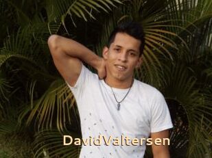 DavidValtersen