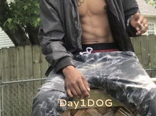 Day1DOG