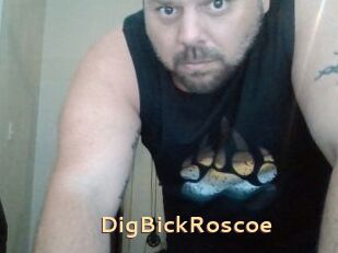 DigBickRoscoe
