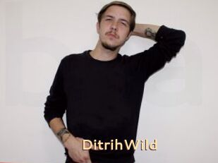DitrihWild
