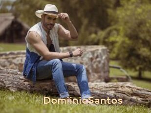 DomiinicSantos