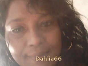 Dahlia66