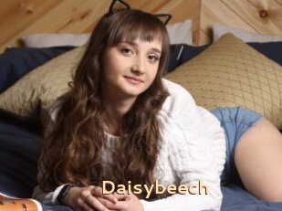 Daisybeech