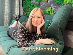 Daisyblooming