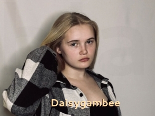 Daisygambee