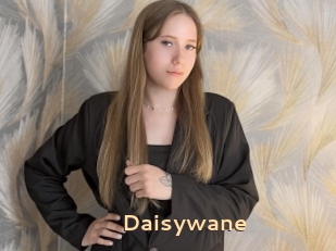 Daisywane