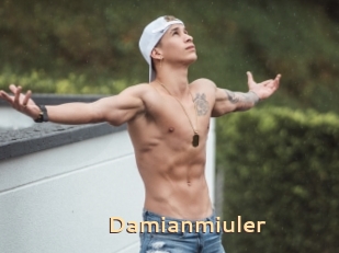 Damianmiuler