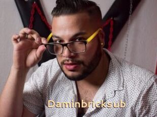Daminbricksub