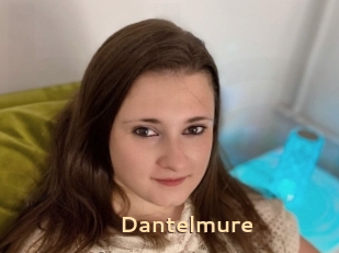 Dantelmure