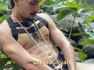 Davesulivan