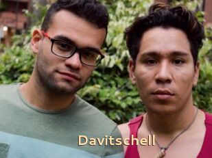 Davitschell